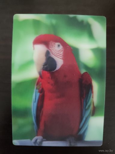 Календарик стерео 3 D Попугай 2020г