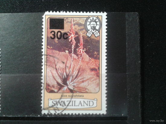 Свазиленд, 1985. Алоэ, надпечатка. Mi-5,5 евро гаш. К- 13 1/2