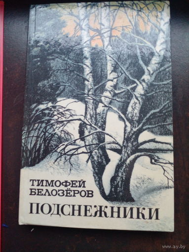 Белозеров Тимофей. Подснежники