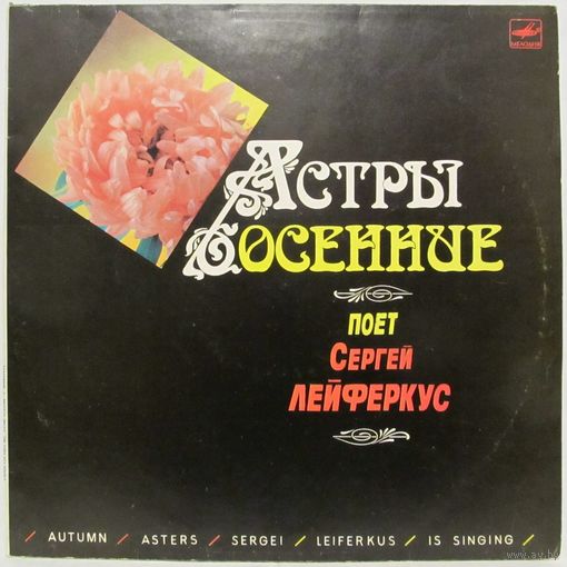 Сергей Лейферкус - Астры осенние