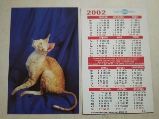 Карманный календарик. Котик. Мингорсоюзпечать. 2002 год