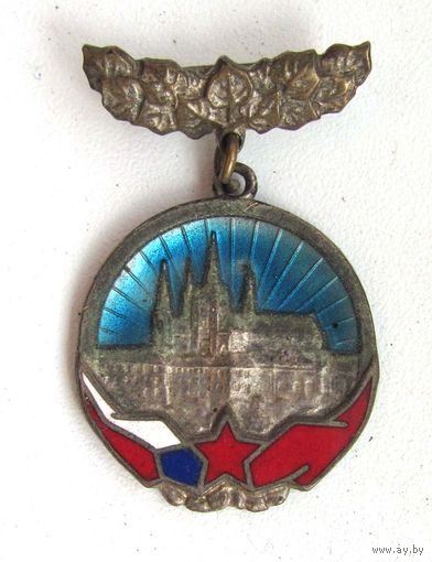 Дружба СССР-ЧССР