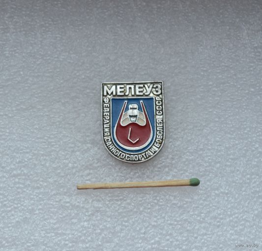Мелеуз. Федерация санного спорта и бобслея СССР.