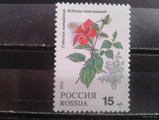 Россия 1993 Комнатные цветы**