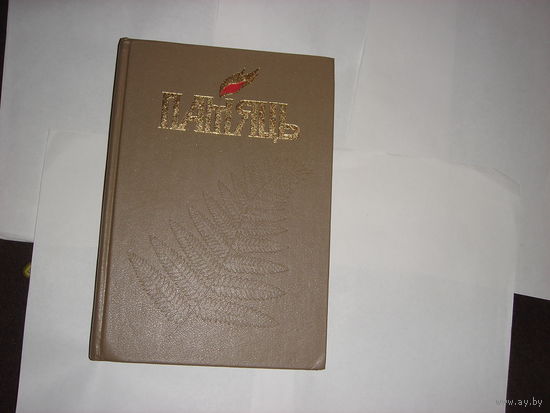 Памяць.Касцюковiцкi раен.