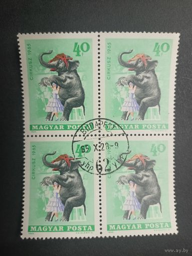 Венгрия 1965. Цирк. Квартблок