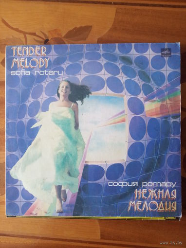 Виниловая пластинка