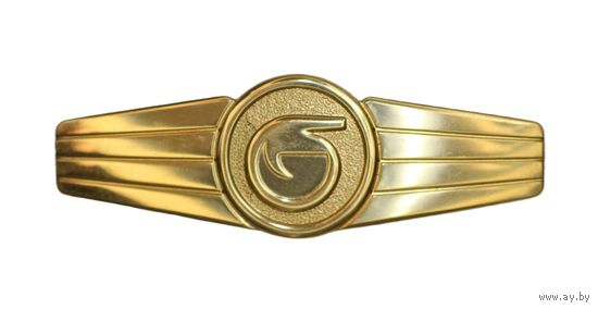 Бундесвер (Вооруженные силы Германии). Квалификационный знак персонала химической защиты. Золотая степень