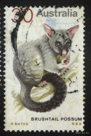 Австралия - 1974 [Mi. 544] Гашеная (AU14)