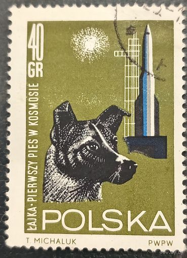 Польша 1964. Полет в космос собаки Лайки. Марка из серии