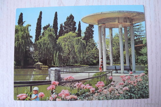 Сочи. Дендрарий; чистая, Аэрофлот.