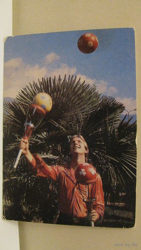 Календарик. Цирк. 1984г.