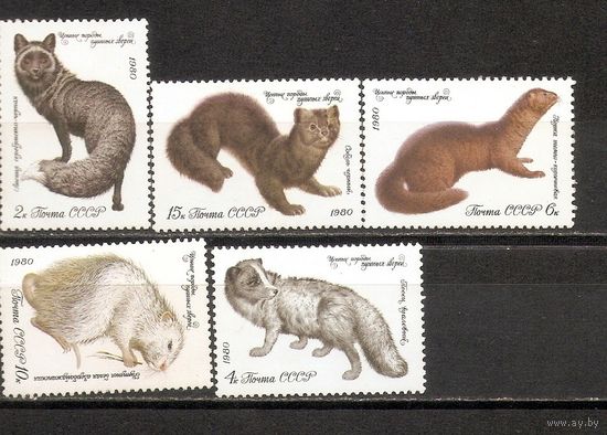 ФФ1 СССР 1980 Ценные породы пушистых зверей