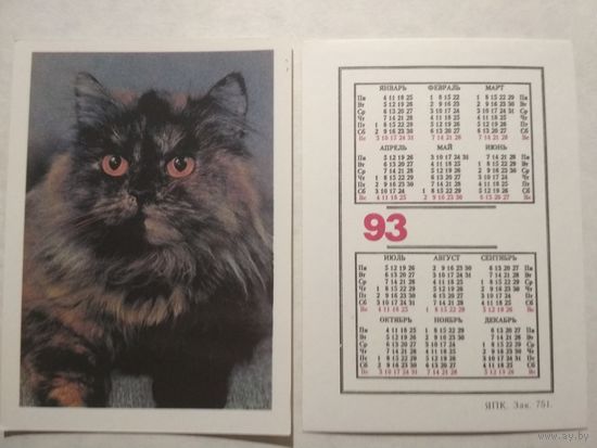 Карманный календарик. Котик. 1993 год