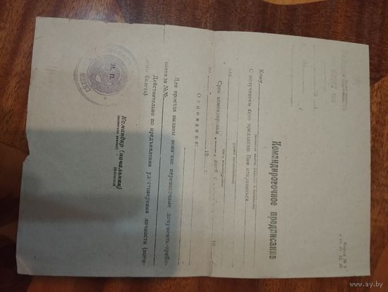 Командировочное удостоверение