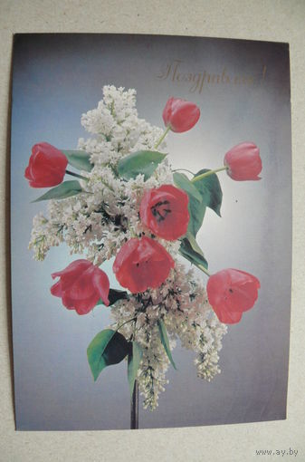 Киндрова Д., Поздравляю! 1989, подписана.