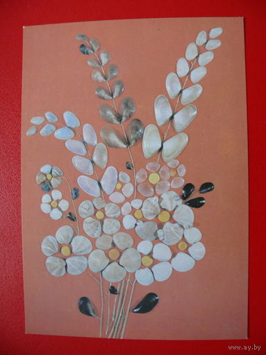 Пересыпкин А.(фото), Декоративная композиция, 1989, чистая (ракушки).