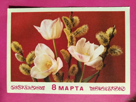 8 марта! Подписанная. 1974 года. Арцименев. 1586.