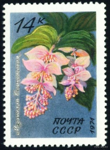 Тропические и субтропические растения СССР 1971 год 1 марка
