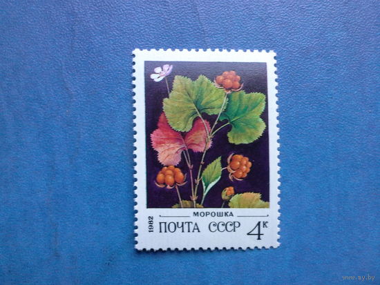 Ссср 1982.  Морошка.