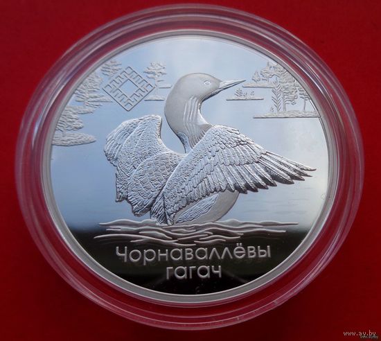 ТОРГ! Заказник Ельня! Чернозобая гагара! 2021! Тираж 750 штук! Серебро! ВОЗМОЖЕН ОБМЕН!