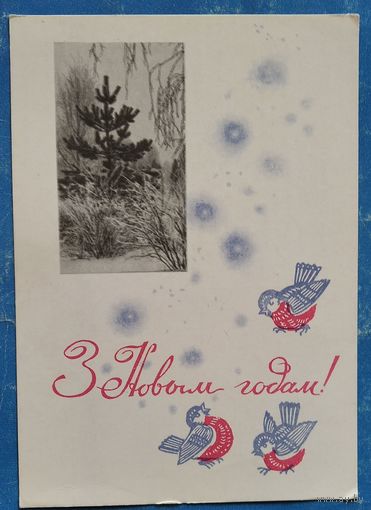 Круглоў У. З Новым годам! (Круглов В. С Новым годом!). 1967 г. Чыстая