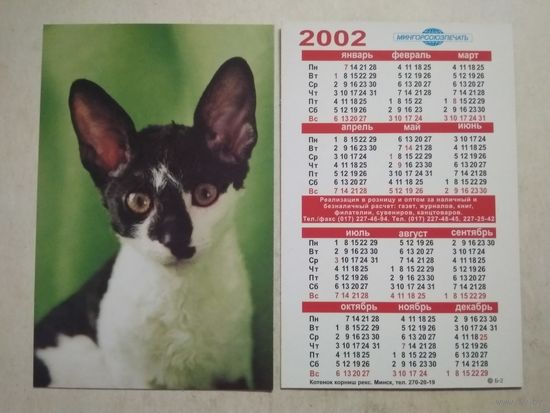 Карманный календарик. Котик. Мингорсоюзпечать. 2002 год