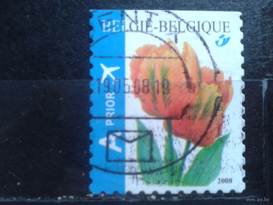 Бельгия 2008 Стандарт, тюльпаны Михель-1,6 евро гаш