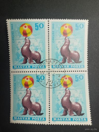 Венгрия 1965. Цирк. Квартблок