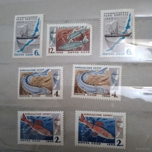 СССР, 1966, ПРОМЫСЛОВЫЕ **РЫБЫ БАЙКАЛА,  сборка  7м,  чистая**по 35 коп шт