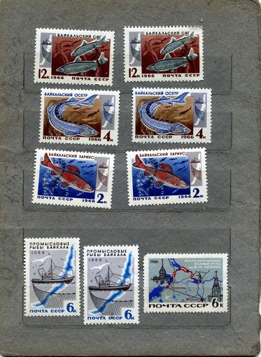 СССР, 1966, ПРОМЫСЛОВЫЕ **РЫБЫ БАЙКАЛА,  сборка  9м,  чистая**по 30 коп шт