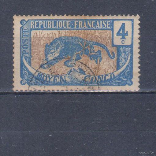 [906] Французские колонии. Среднее Конго 1907. Фауна.Леопард.4 с. Гашеная марка.