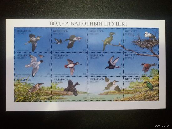 (Ф30-49) Фауна. Водно-болотные птицы + Утки. 1996. Листы с блоками