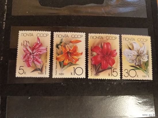1989 СССР флора цветы Заг 5983-5986 полная чистая серия клей MNH**(сф-2)