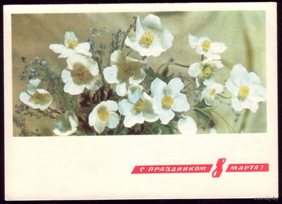 1968 год И.Дергилёв С праздником 8 марта! чист