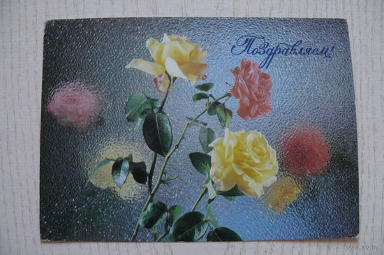 Киндрова Д., Поздравляем! 1987, чистая.