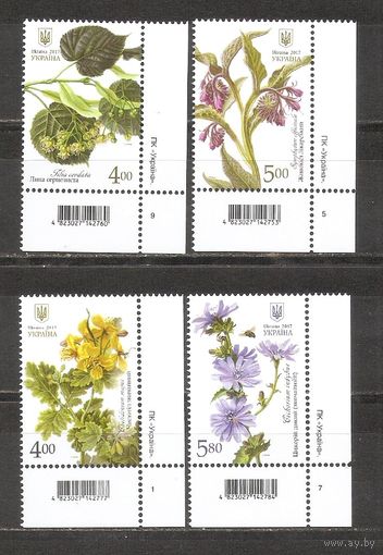 ФФ1 Украина 2017 Цветы