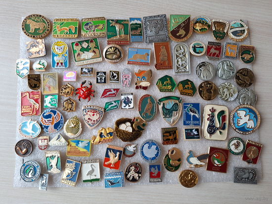 Значки - фауна - птицы и звери, рыбы - Леопард, Колонок, Глухарь, Лось, барс, тигр, зубр заяц антилопа сурок калан кролик лев кабан краб рысь медведь стерх носорог крокодил белка еж лиса аист голубь