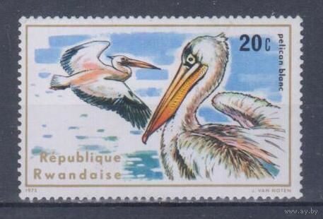 [1759] Руанда 1975. Фауна.Птицы.Белый пеликан. MNH
