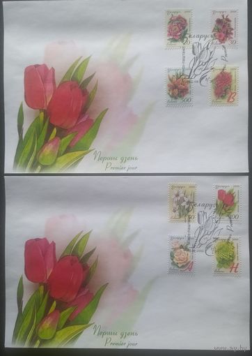 Беларусь 2008 КПД цветы.
