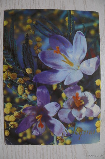 Дергилев И., 8 марта; 1987, подписана.
