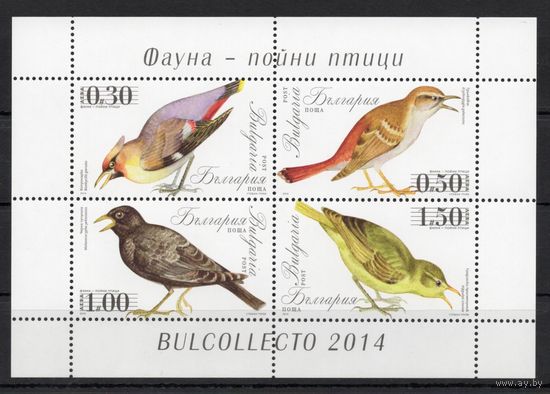 Болгария 2014. Певчие птицы блок (5179)