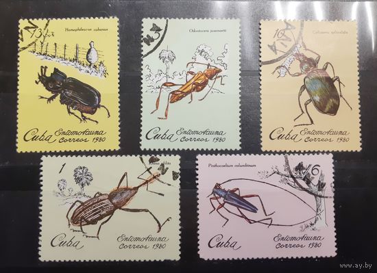 Куба. 1980 год. Фауна. Насекомые-вредители (190)