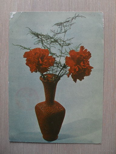 ПОДПИСАННАЯ ОТКРЫТКА. ВЕНГРИЯ. ГВОЗДИКИ.