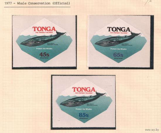 Тонга -1977 (Мих.162-164) , ** , Морская фауна,Киты (полная серия), служебные