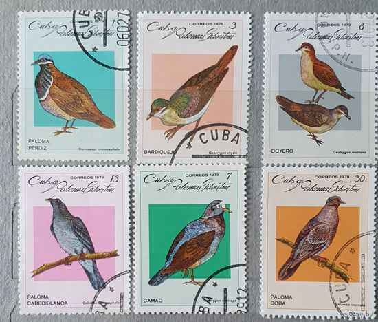 Куба птицы 6шт