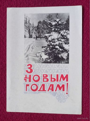 С Новым Годом! Белорусская открытка. Круглов 1967 г. Чистая.