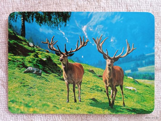 Календарики. Испания