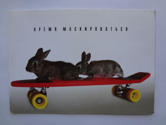 Календарик 2000 г. ИПП Новик. Время маскироваться.