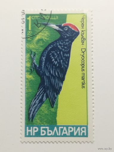 Болгария 1978. Птицы. Дятлы.